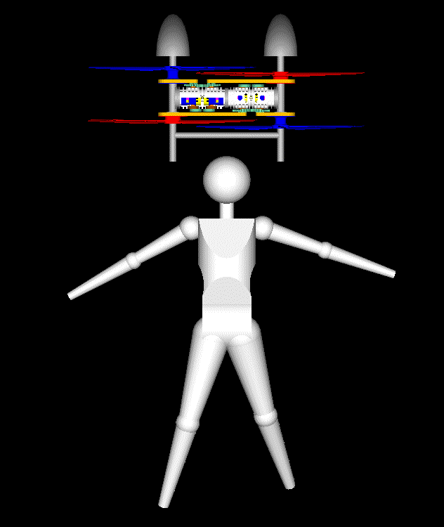 PatTol_axial_pilot.gif