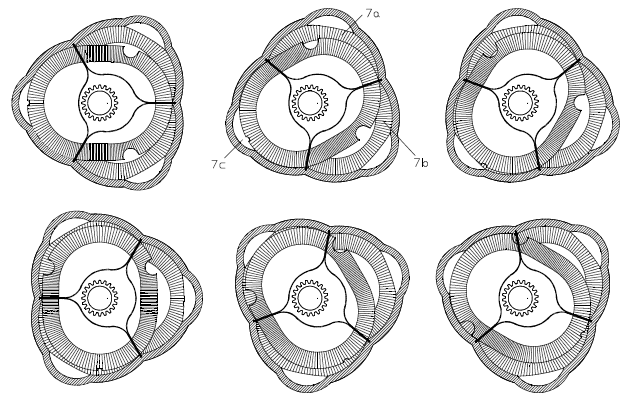 PatWankel4.gif